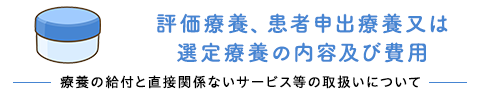 評価療養、患者申出療養又は選定療養の内容及び費用